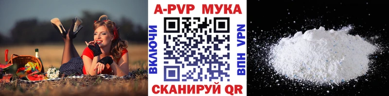 Альфа ПВП СК Евпатория