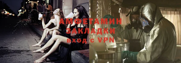 прущие грибы Горняк
