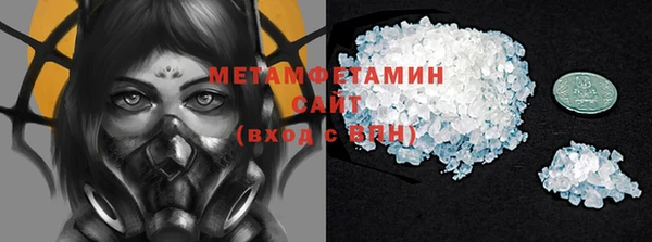 прущие грибы Горняк