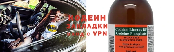 прущие грибы Горняк