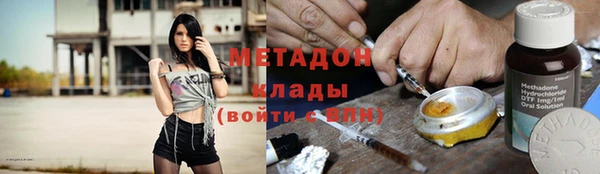 прущие грибы Горняк