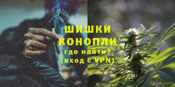 прущие грибы Горняк