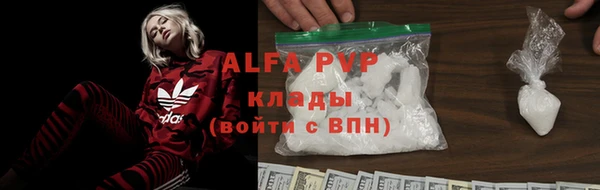 прущие грибы Горняк