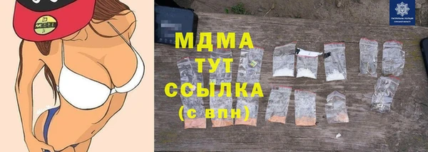 прущие грибы Горняк