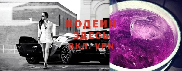 прущие грибы Горняк