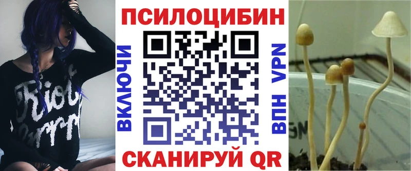 Галлюциногенные грибы прущие грибы  hydra ТОР  Евпатория 